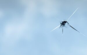 Remplacement de votre pare brise