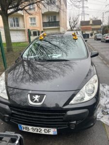 pare brise 307 prix