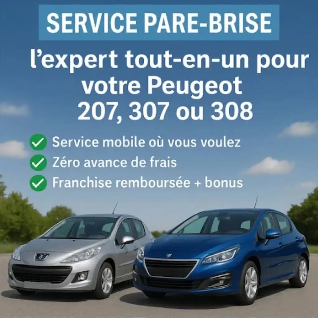pare brise 307