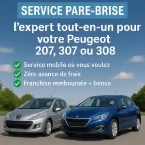 pare brise 307